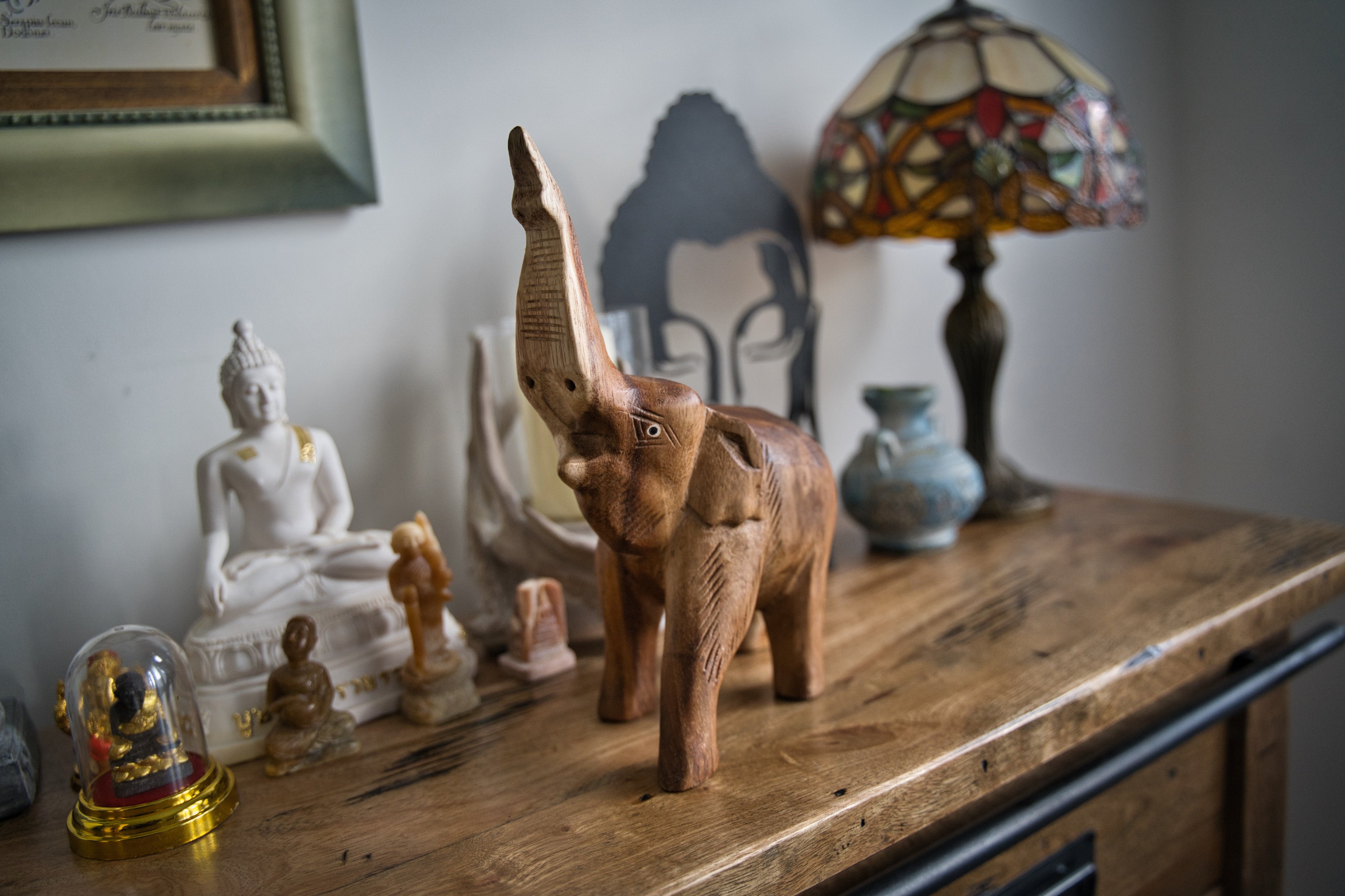 Elephant raising trunk